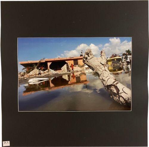 Lot # 24.9 2004 Spot News Lucas Oleniuk Haitian school teacher drowned in the flood caused by Storm Jeanne