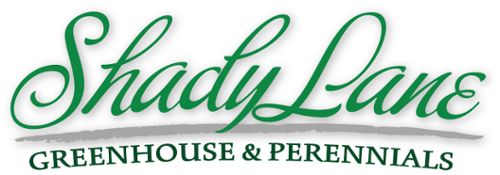 Logo for Shady Lane Greenhouses and Perennials